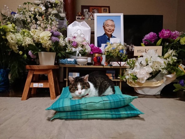 charo with Minoru 2